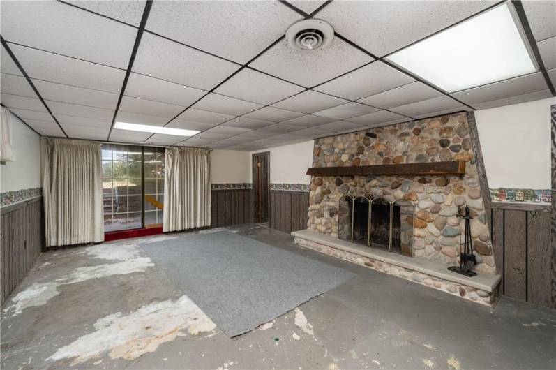 Partially Finished Walkout Basement with wood-burning fireplace