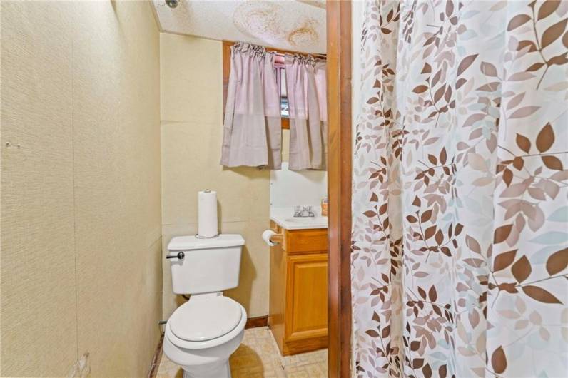 full bathroom in the basement.  This is the third full bath in this home!