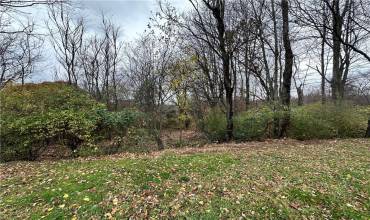 147 Valley Street, Derry, PA 15627, 2 Bedrooms Bedrooms, ,Farm-acreage-lot,For Sale,Valley Street,1681171