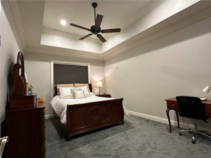 The Master Bedroom is 16'x12' with a deep Trey ceiling and a large window with a custom blind.