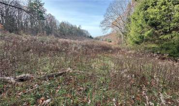 2654 Pleasant Valley Rd, Murrysville, PA 15668, ,Farm-acreage-lot,For Sale,Pleasant Valley Rd,1681346