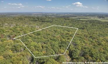 0 Forest Rd, Boswell, PA 15531, ,Farm-acreage-lot,For Sale,Forest Rd,1681410