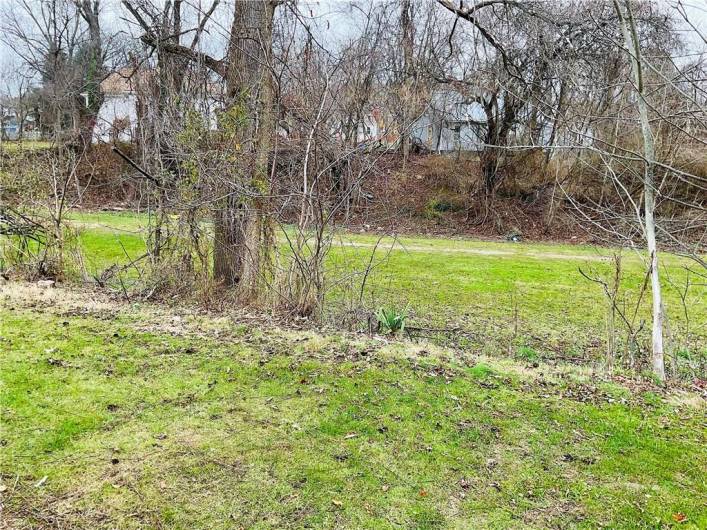 Walking Trail in backyard