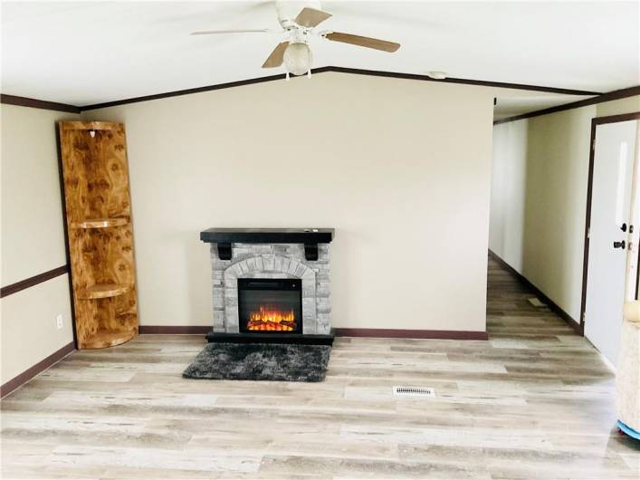 Electric Fireplace in Living Room