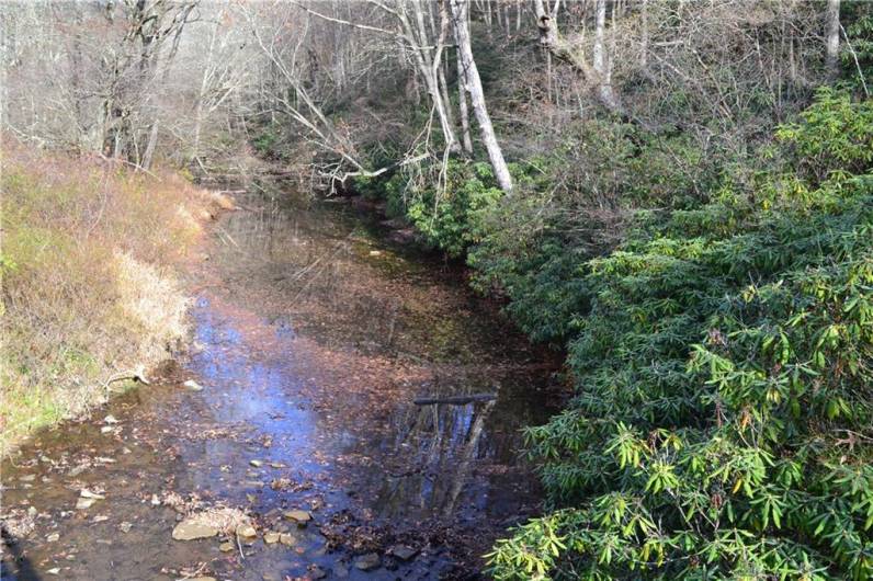 Big Sandy Creek stocked trout stream