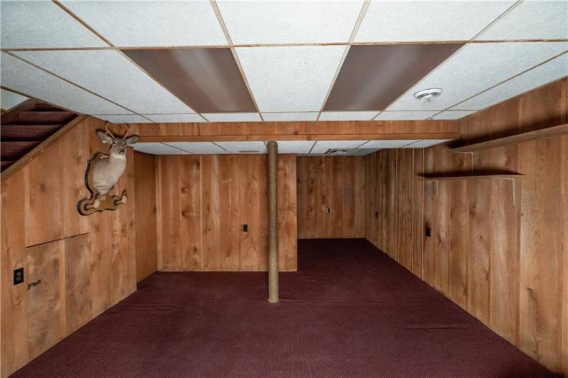 Basement Family Room