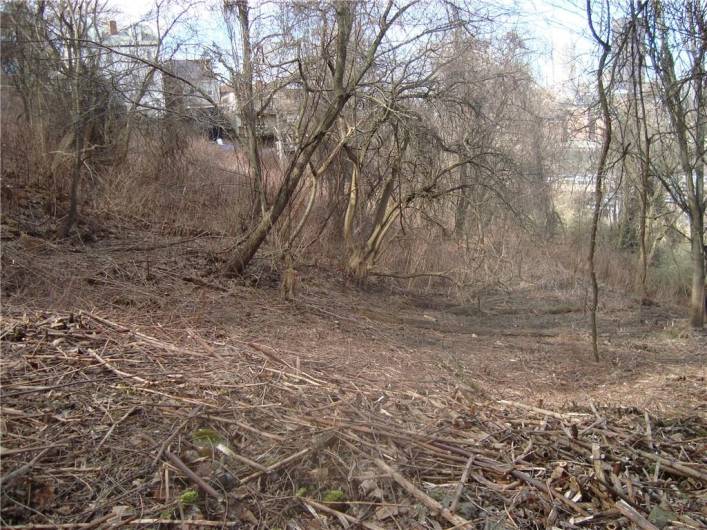 Plateau on the property.