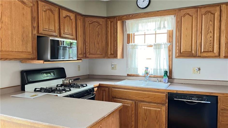 The kitchen has ample counter space, all appliances are incuded