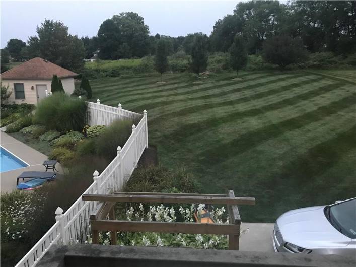 Backyard space - Well manicured landscaping