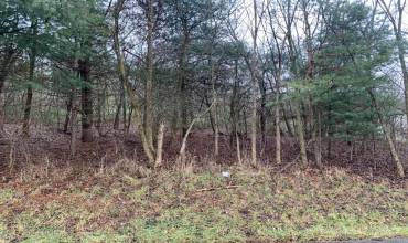 Lot 5 Ringertown Road, Export, PA 15632, ,Farm-acreage-lot,For Sale,Ringertown Road,1683337