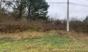 Lot 7 Ringertown Road, Export, PA 15632, ,Farm-acreage-lot,For Sale,Ringertown Road,1683378