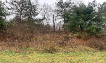 Lot 8 Ringertown Road, Export, PA 15632, ,Farm-acreage-lot,For Sale,Ringertown Road,1683394