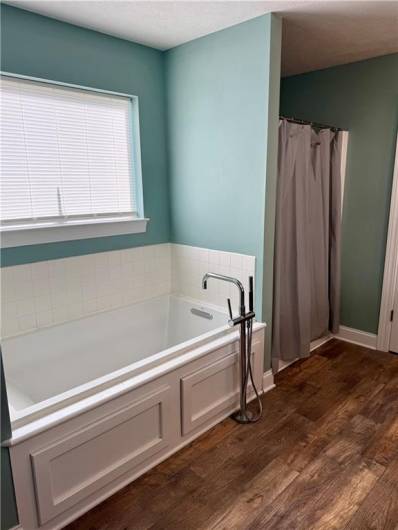 Another View of the Soaking Tub and Shower.