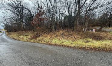 0 Snyder St, Tarentum, PA 15084, ,Farm-acreage-lot,For Sale,Snyder St,1684075