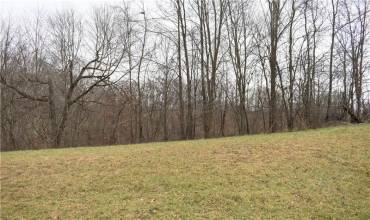 Lot 135 Shannon Mills Dr, Renfrew, PA 16053, ,Farm-acreage-lot,For Sale,Shannon Mills Dr,1684142