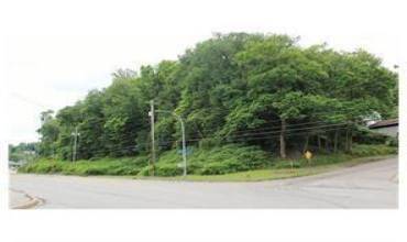 0 Banksville Rd, Pittsburgh, PA 15216, ,Farm-acreage-lot,For Sale,Banksville Rd,1684483