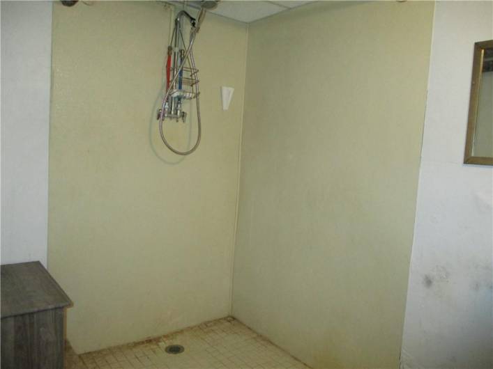 Basement Shower