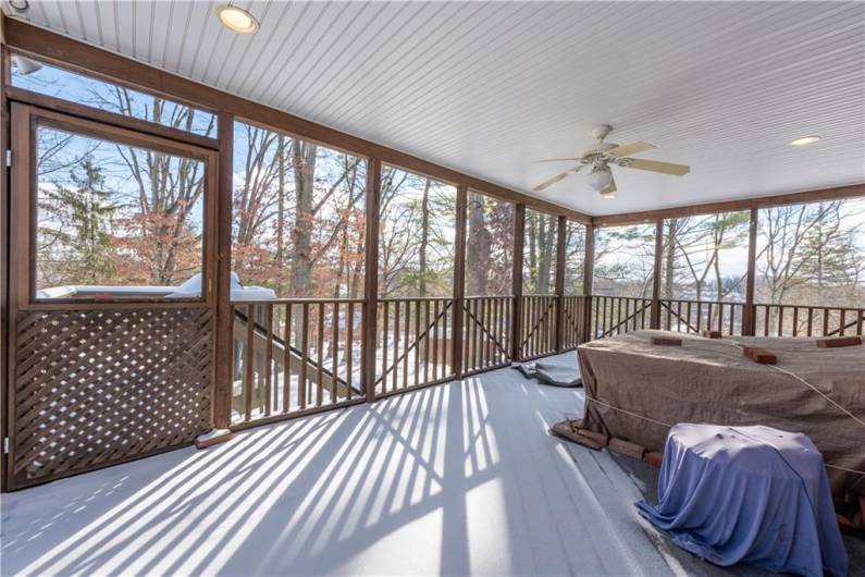 The back deck is completely screened in.