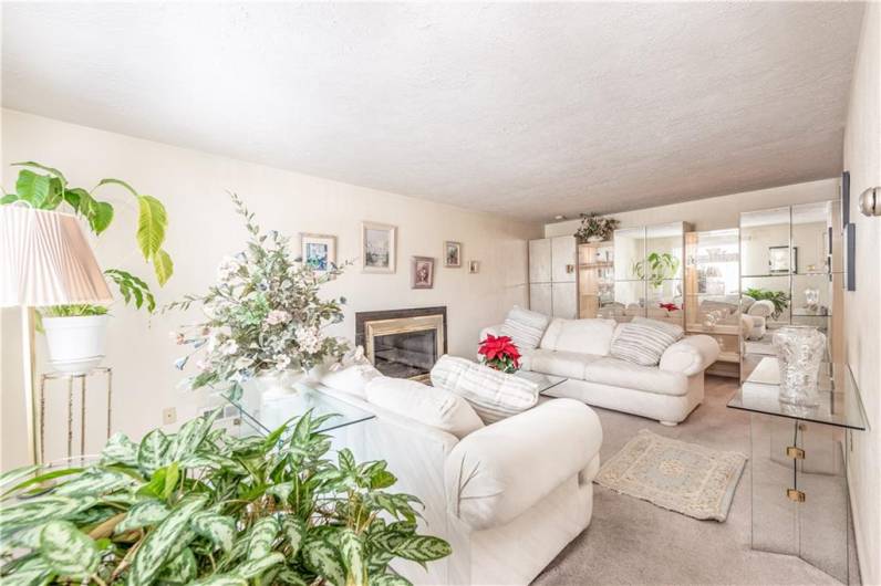 Enter into the bright and clean living room. The wall of mirrored storage is actually furniture but could be negotiated if wanted.