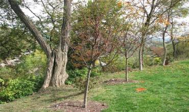 2643 Fernwald Road, Pittsburgh, PA 15217, ,Farm-acreage-lot,For Sale,Fernwald Road,1684812