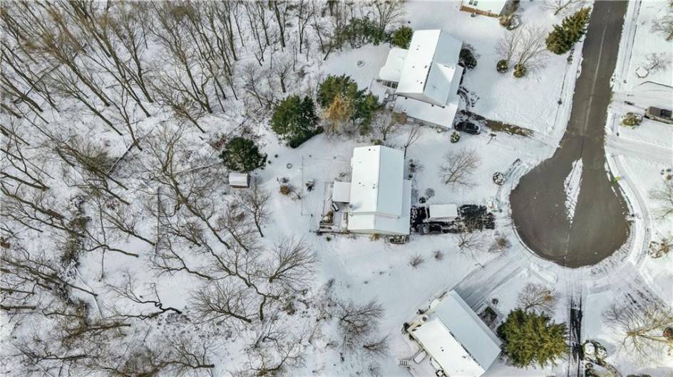 Wooded backyard offers tons of privacy