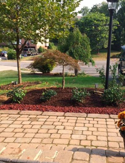 View of the yard from the front porch.