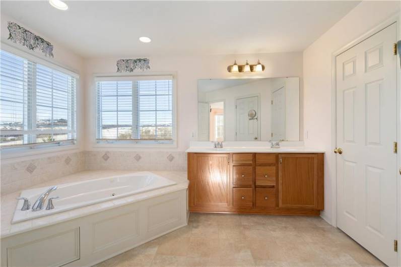 Master bathroom features a dual vanity,  jacuzzi tub and walk in shower.