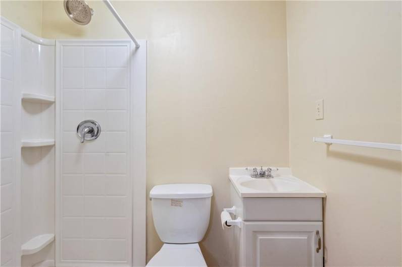 Finished basement bathroom.