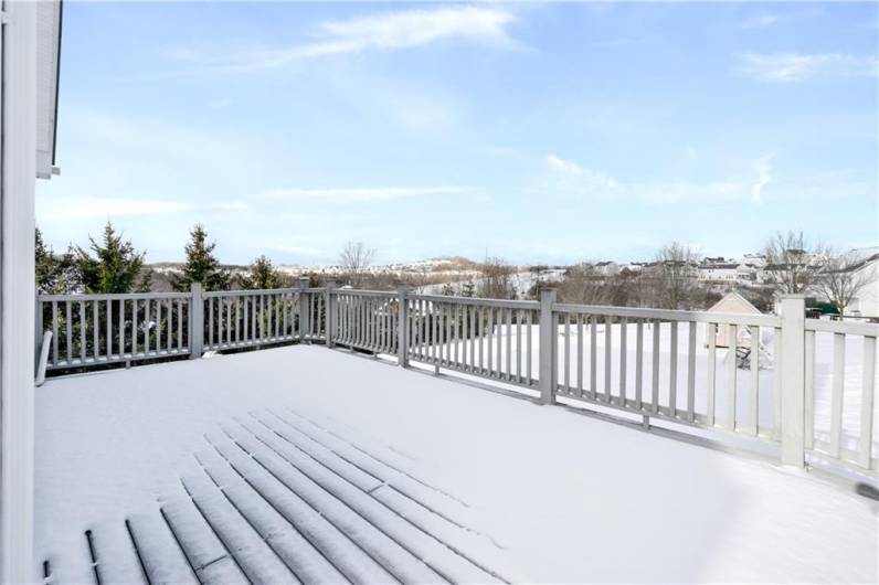 Gorgeous TREX deck overlooks the backyard.