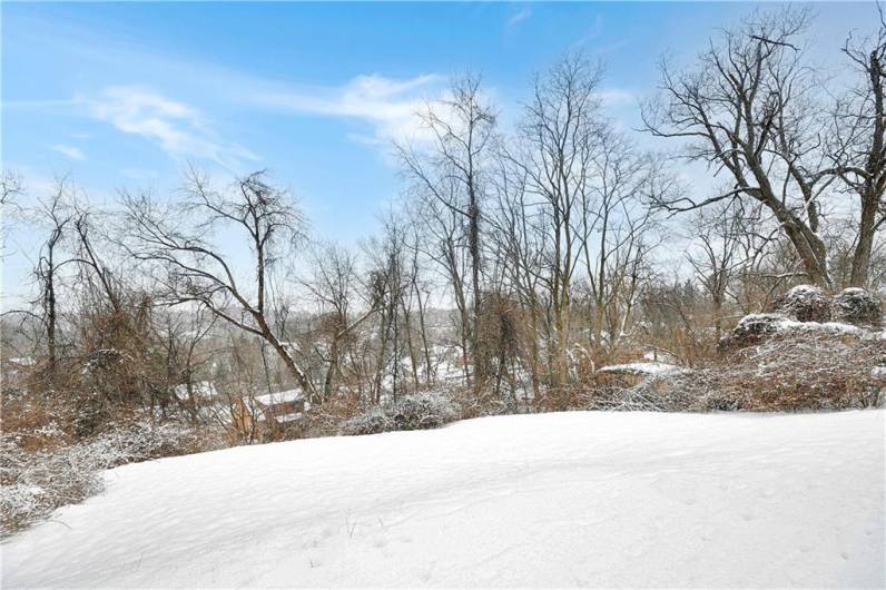 Snow covered yard.