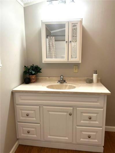 BATH VANITY WITH GOOD STORAGE SPACE!