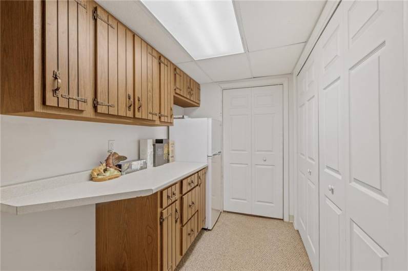 Basement laundry area