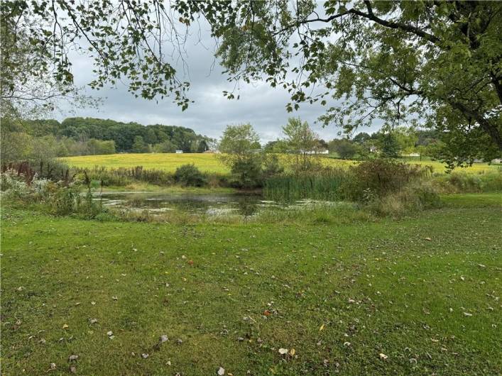 One of two beautiful ponds on the property