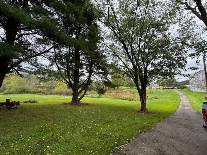 Looking down the driveway