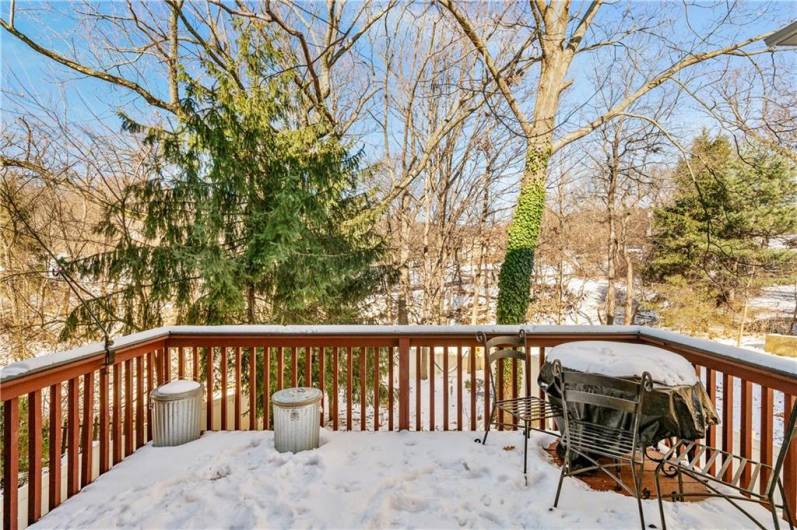 Deck off the Family room