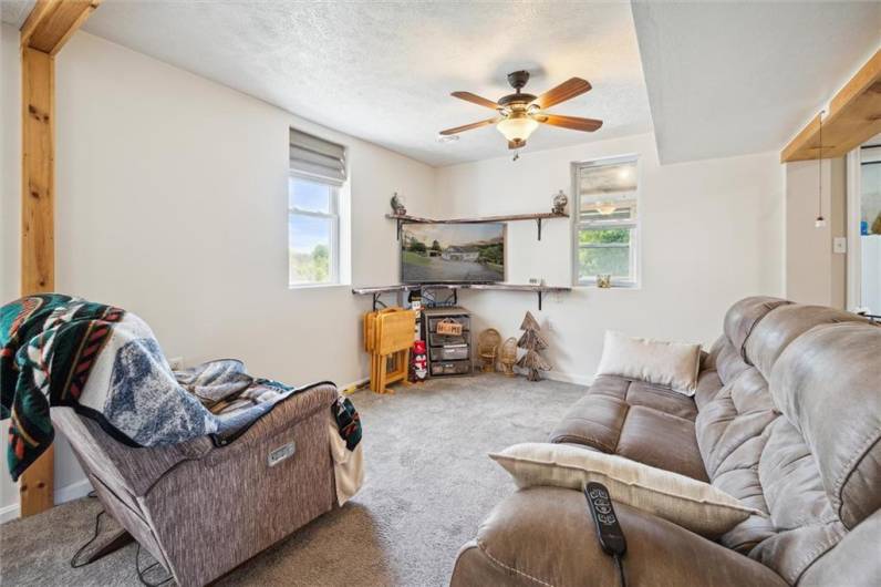 Lower-level living room