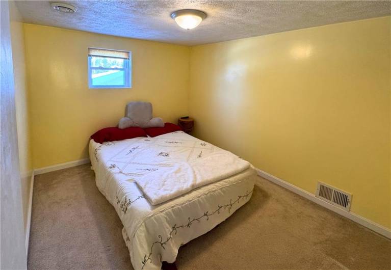 Lower Level Bedroom