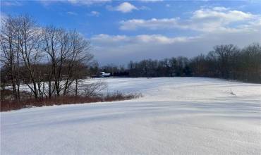 0 Center St Ext, Grove City, PA 16127, ,Farm-acreage-lot,For Sale,Center St Ext,1685260