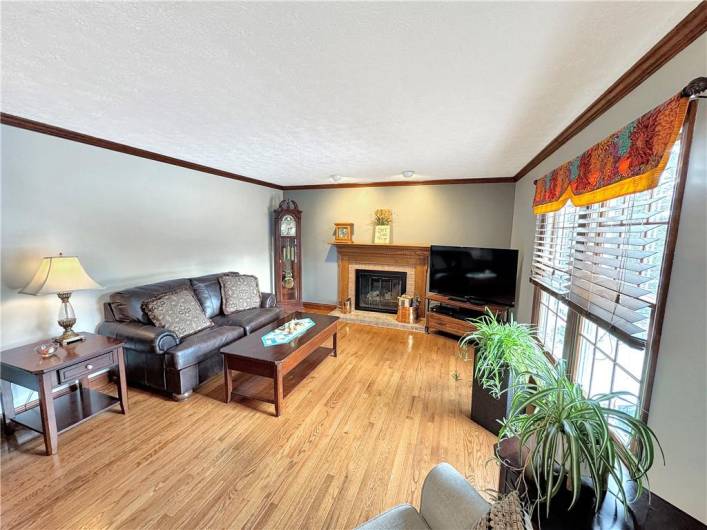 The family room features crown moldings, hardwood floors, and a fireplace.