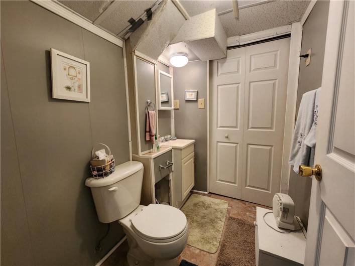 Lower Bathroom