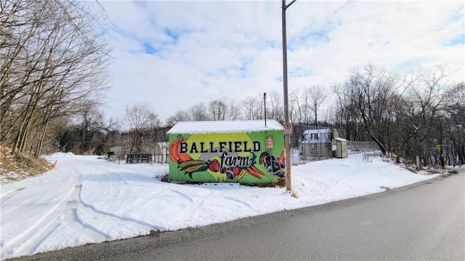 Walking Distance to Ballfield Farm!