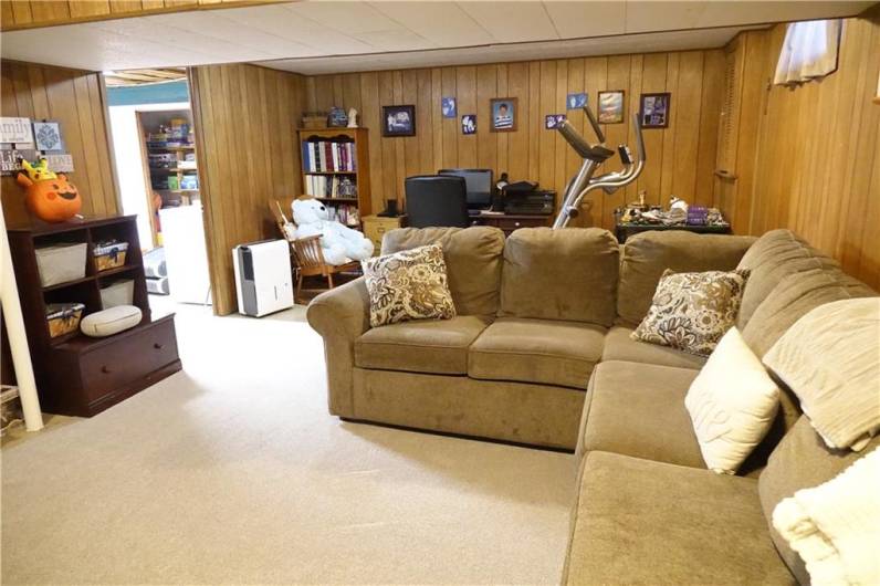 Spacious Lower Level Family Room