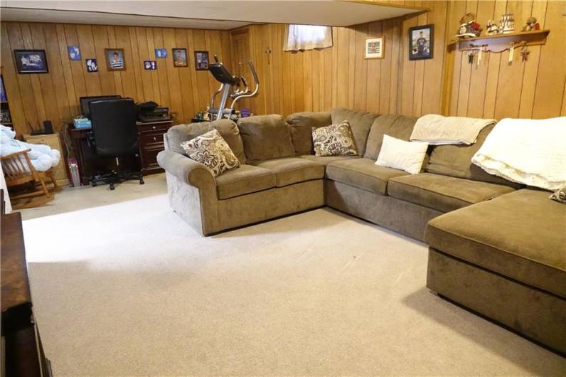 Spacious Lower Level Family Room