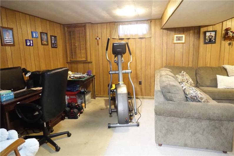 Spacious Lower Level Family Room