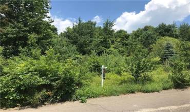 Lot 311 Old Indian Trail Ct, Pittsburgh, PA 15238, ,Farm-acreage-lot,For Sale,Old Indian Trail Ct,1685619