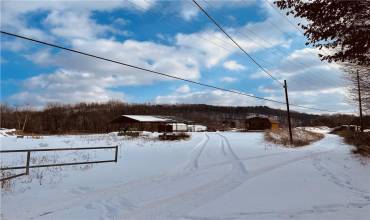 250 Sylvania Dr, New Galilee, PA 16141, ,Farm-acreage-lot,For Sale,Sylvania Dr,1685633