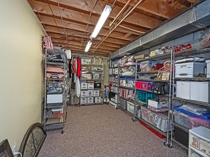 This Bonus Room in the Basement holds additional room for storage, or could be a Craft/Studio/Home Office/Schooling Room!