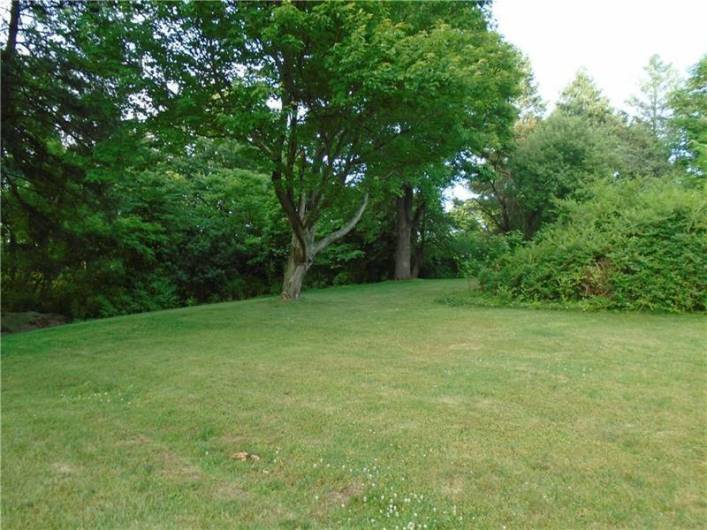 Mature trees offer much-needed shade on warm summer days...