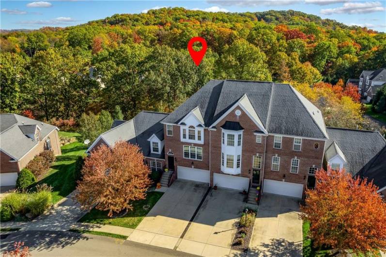 Aeiral View shows woods behind home