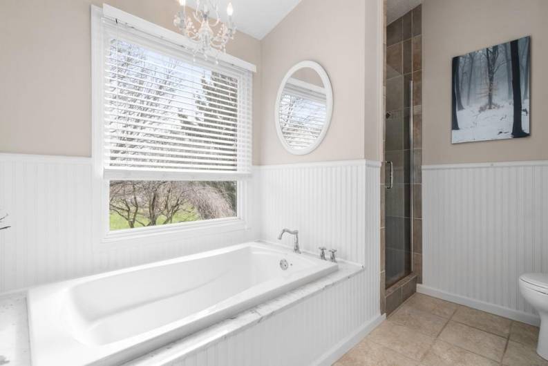 primary bathroom with soak tub and walk-in shower